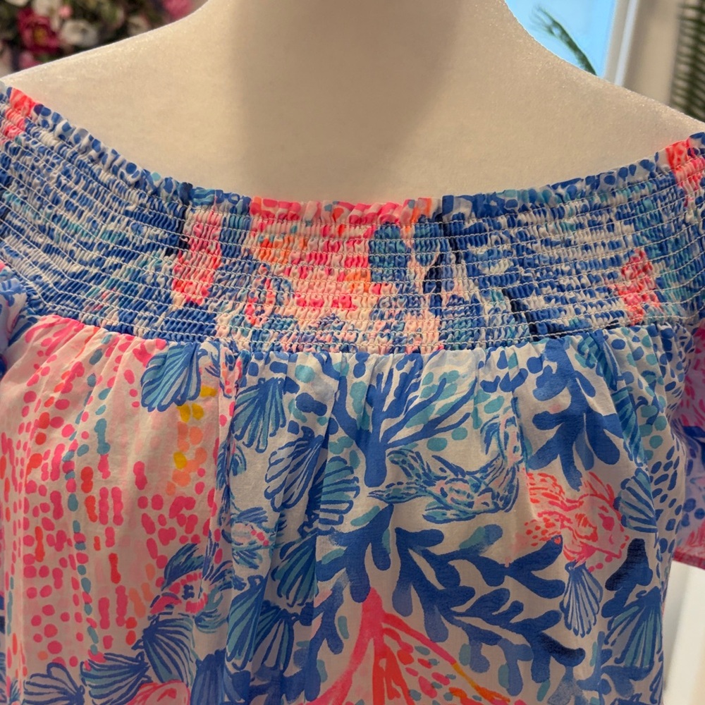Lilly Pulitzer Dezi Pink and Blue Floral Maxi Dress - Picture 5 of 6